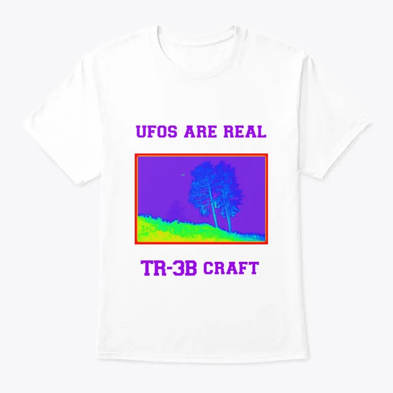 UFO's are Real, TR-3B Craft.