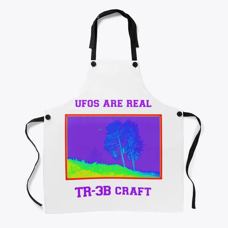 UFO's are Real, TR-3B Craft.