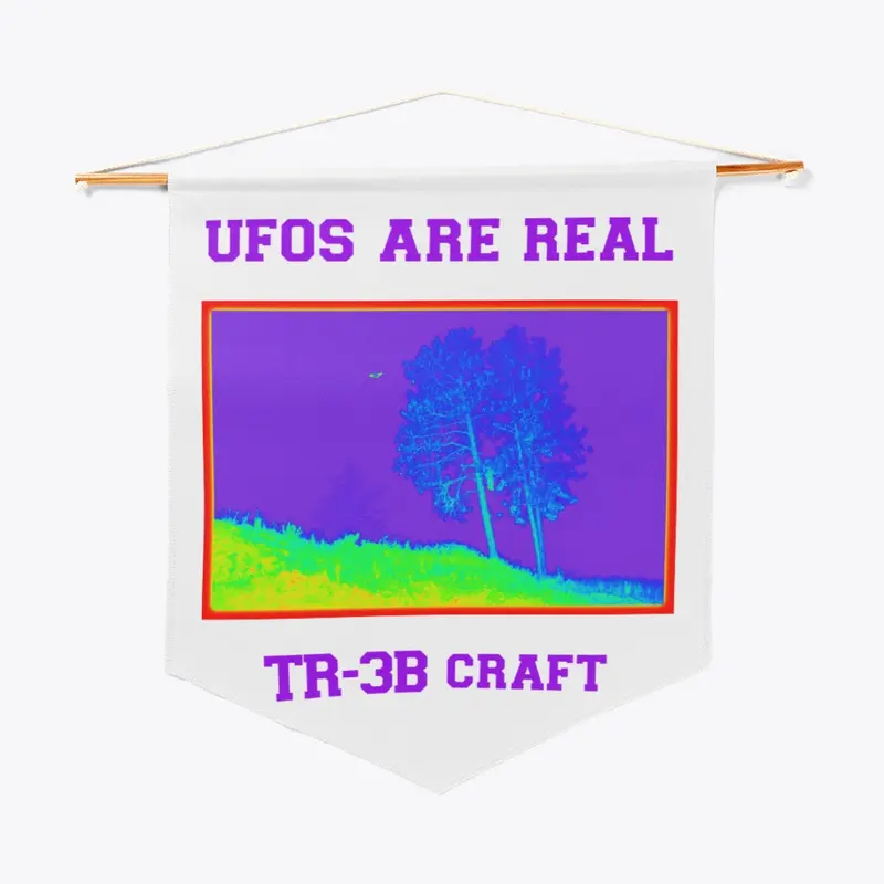 UFO's are Real, TR-3B Craft.