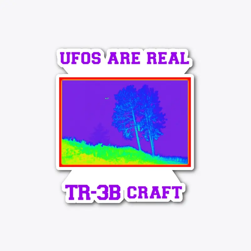 UFO's are Real, TR-3B Craft.