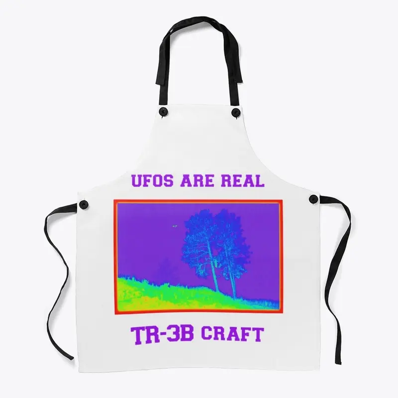 UFO's are Real, TR-3B Craft.