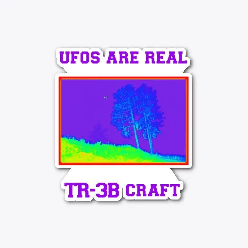 UFO's are Real, TR-3B Craft.